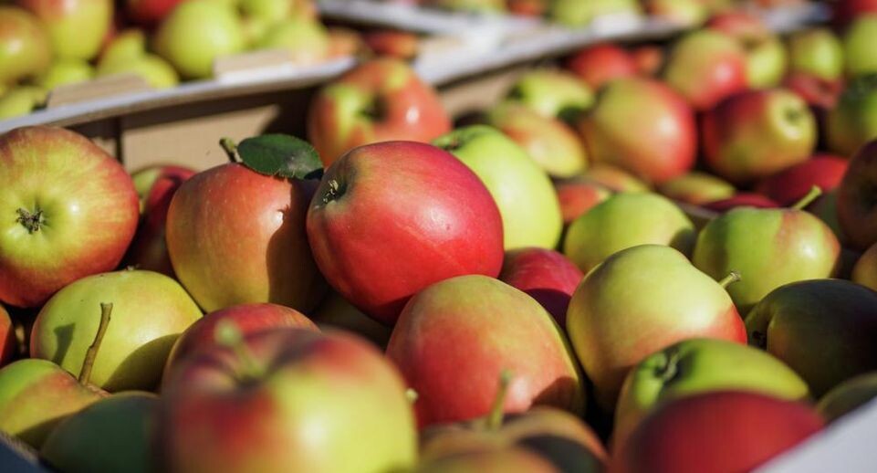    РИА «Новости»