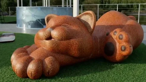 Гигантский рыжий бобтейл Кеша.