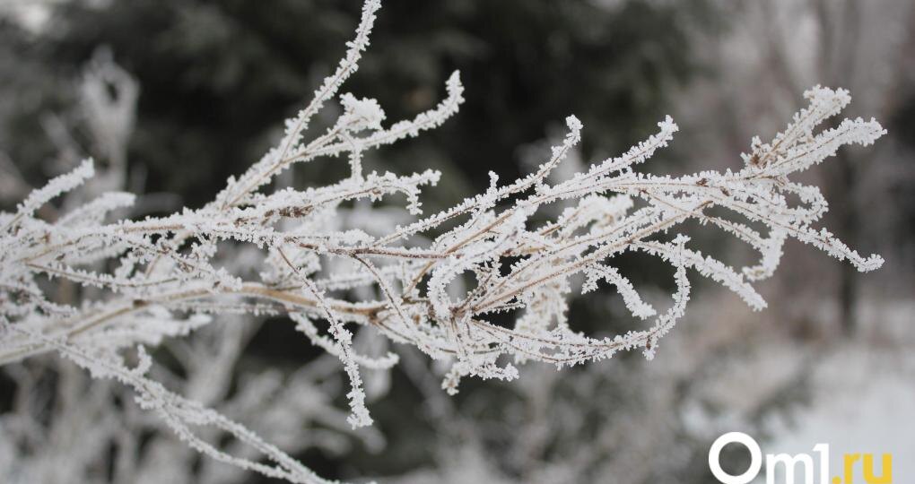 Арктический холод: Омск накроют затяжные морозы до –38 градусов