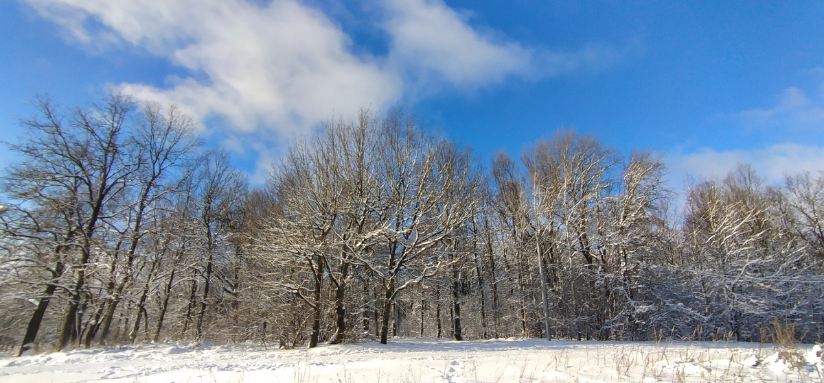 Личное фото