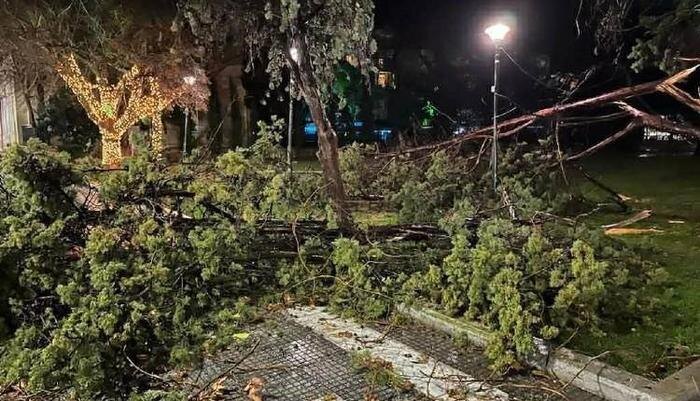 Обложка © Х / iraklionews