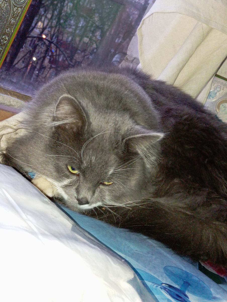 Уж полночь близится, сантехника все нет