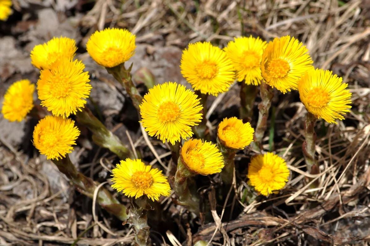 раньше не  злоупотреблял, а теперь и совсем отказался