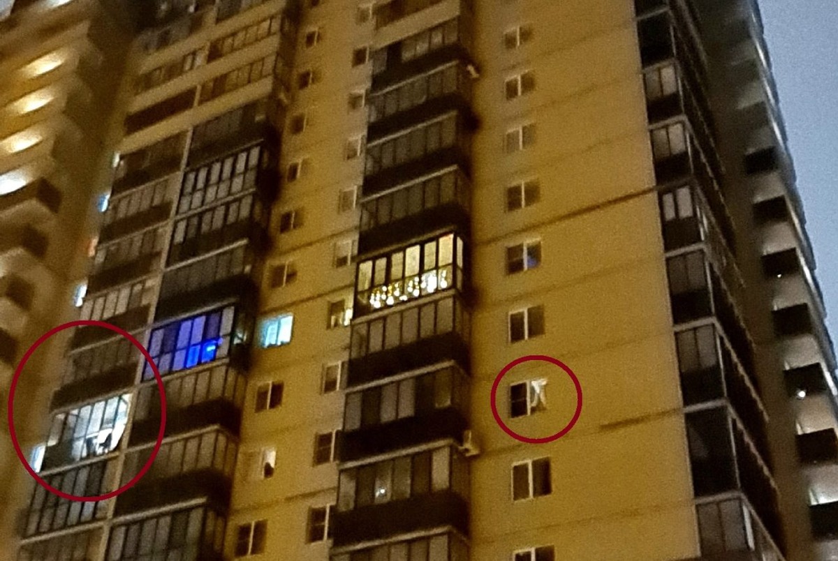     Фото: TV Губерния