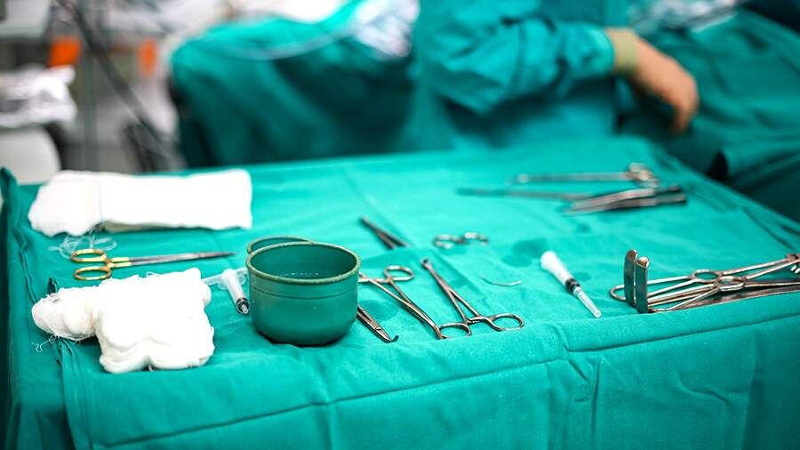    Фото: ИЗВЕСТИЯ/Сергей Лантюхов