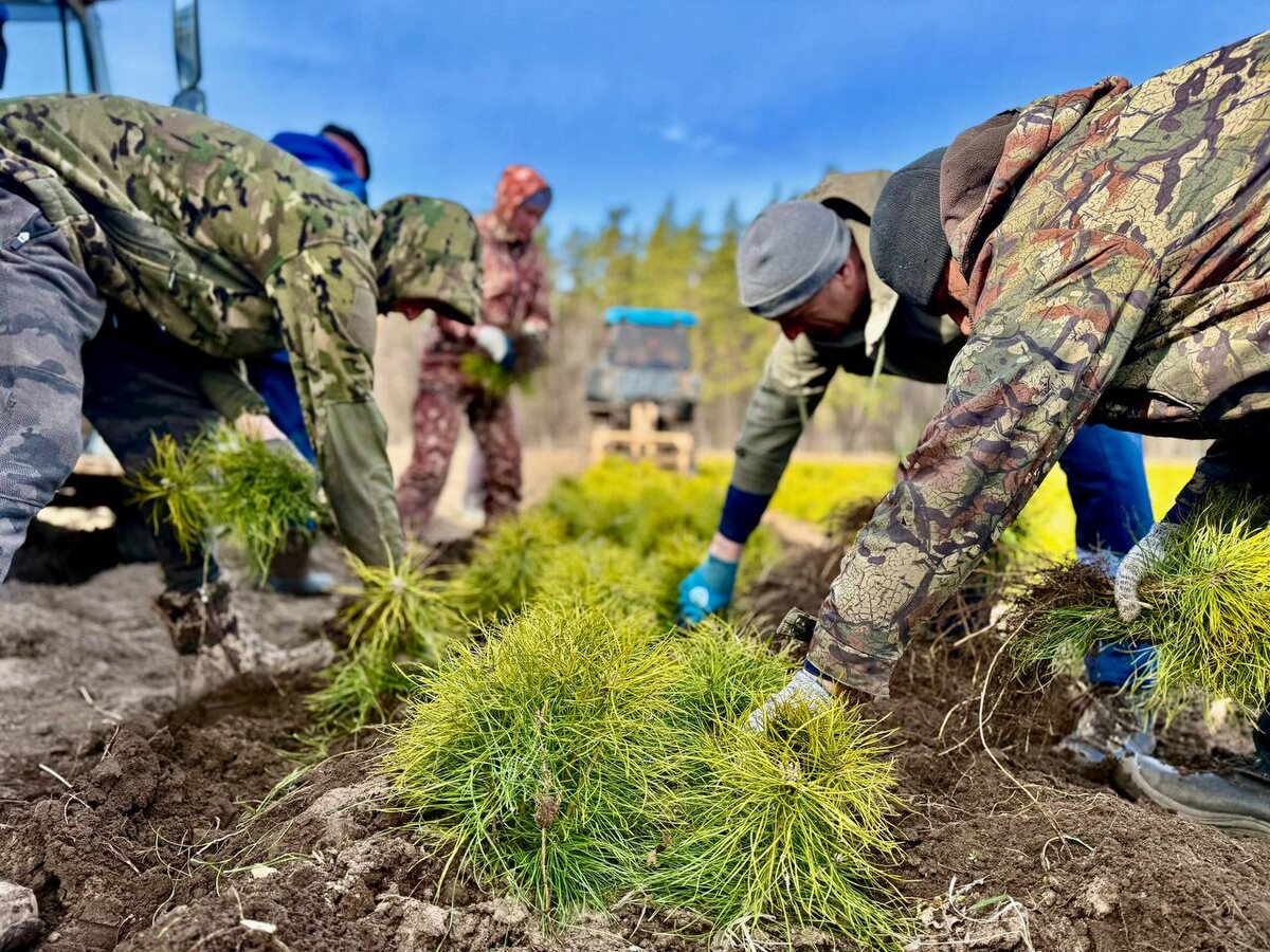    Фото Минприроды Самарской области