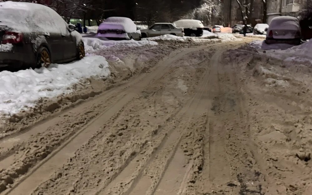    Фото: "Брянские новости"