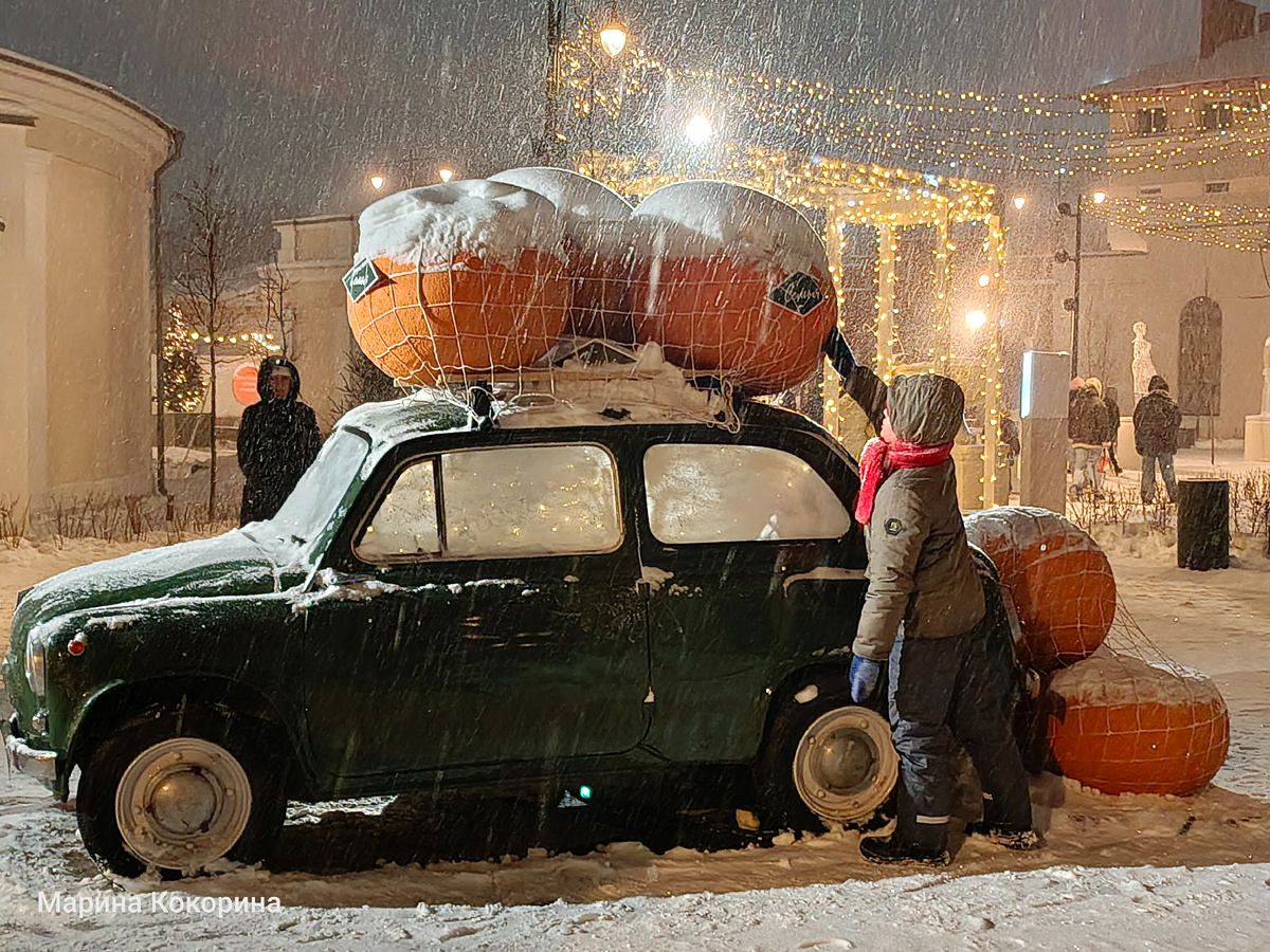 Рязанская ВДНХ