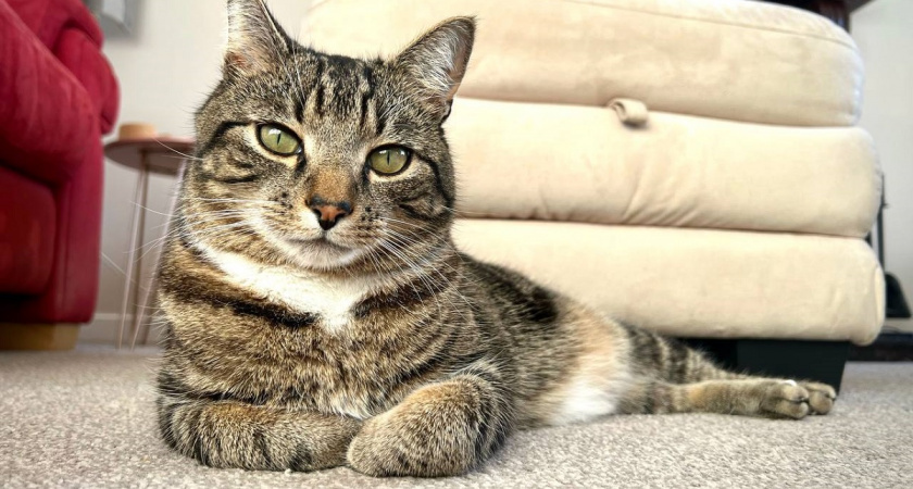    Фото Анастасии Дмитриевой