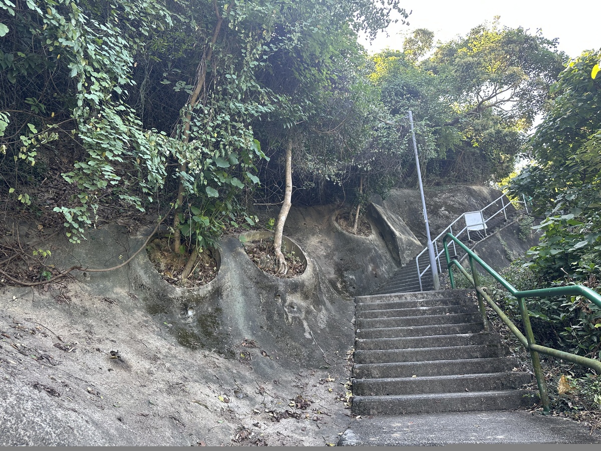 Тропа начинается здесь