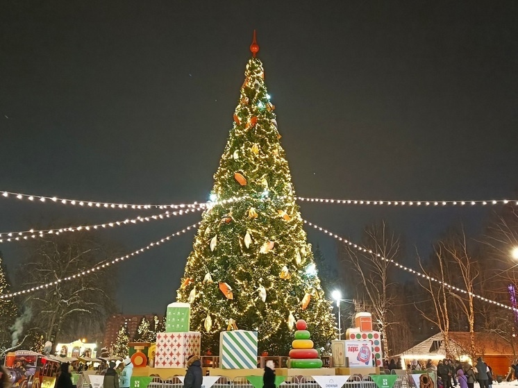     Новый год. Фото: Николай Курилов / МК-Урал