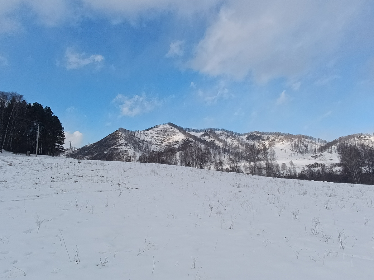 Вид с участка. За селом Камлак. 2, 5 км от него. Где строится круглогодичная база отдыха. Здесь работает мой муж. И мы приехали к нему в гости. ТК возможности приехать в Новосибирск, домой,  у него нет.