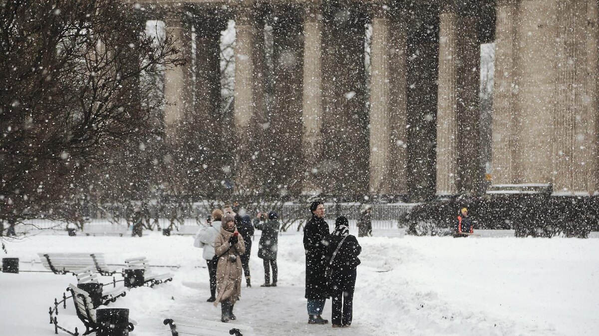   Фото: Роман Пименов/«Петербургский дневник»