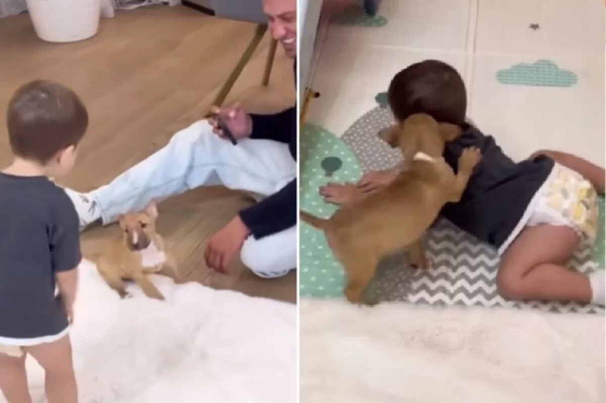    Новосибирского актера Прилучного и его экс-жену заметили в храме