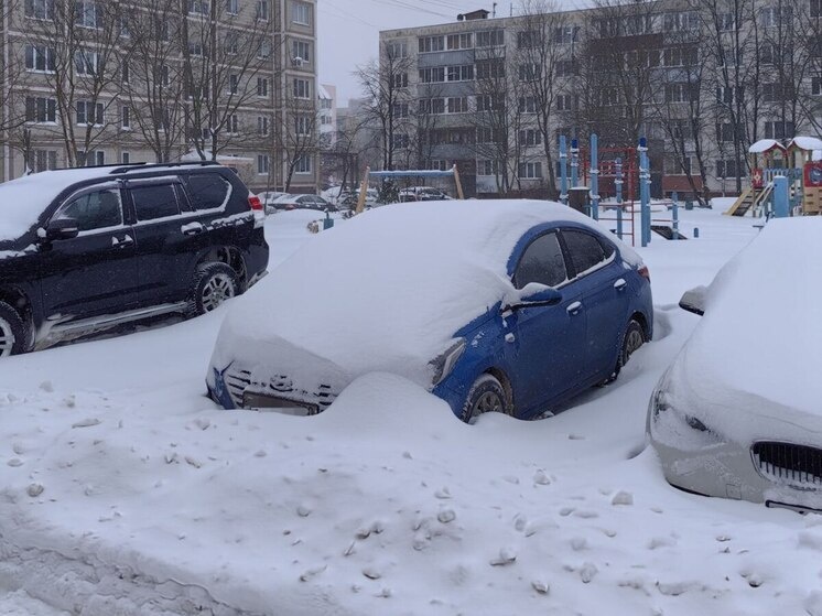    Фото: Ася Королева