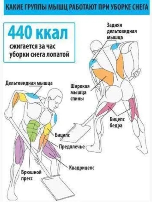 https://chahotkinet.ru/chistka-snega-kalorii-lopatoy