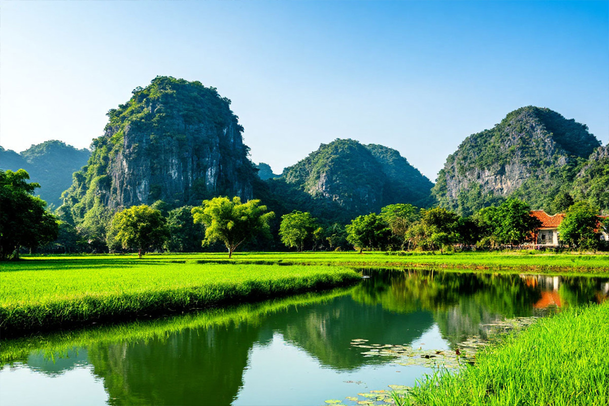    Фото: коллаж RuNews24.ru