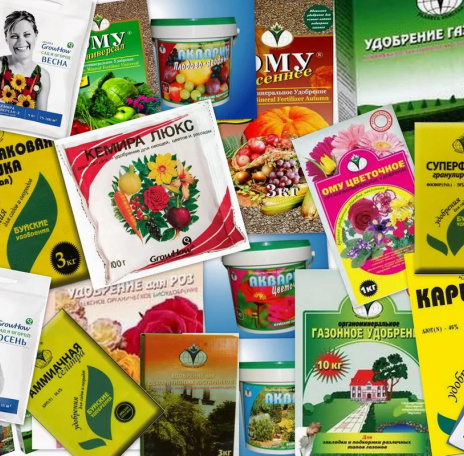 Фото из интернета