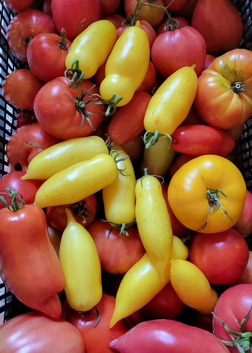 Фото прошлого сезона 