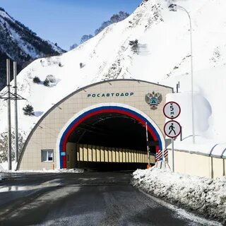    Фото: открытый источник