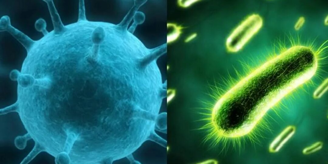 Как различить вирусную и бактериальную инфекцию в организме