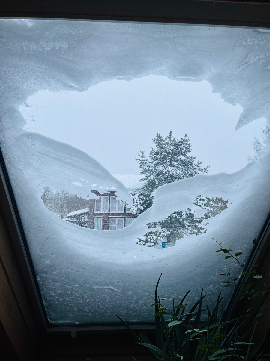 Вид на улицу с террасы