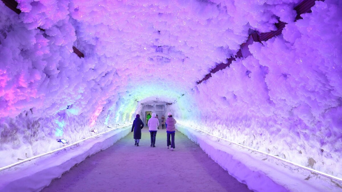    Фото: Андрей Ткачев/«Ямал-Медиа»