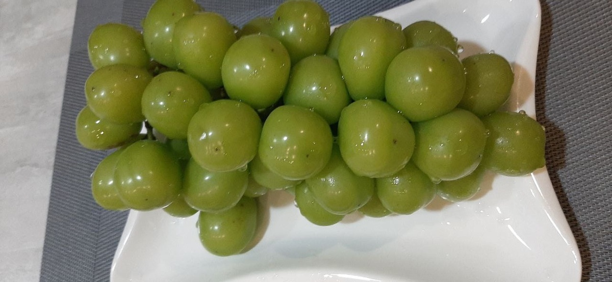 Гроздь винограда Шайн мускат. Срок созревания раннесредний. Ягоды зеленые, реже зеленовато-желтые, овальные. Для получения бессемянных ягод требуется обработка гиббереллином.