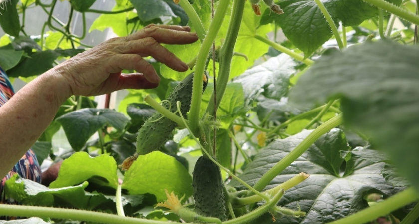    Фото из архива редакции