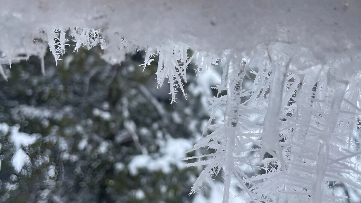    Зима возвращается: прогноз погоды в Ростове на первые рабочие дни   1MI