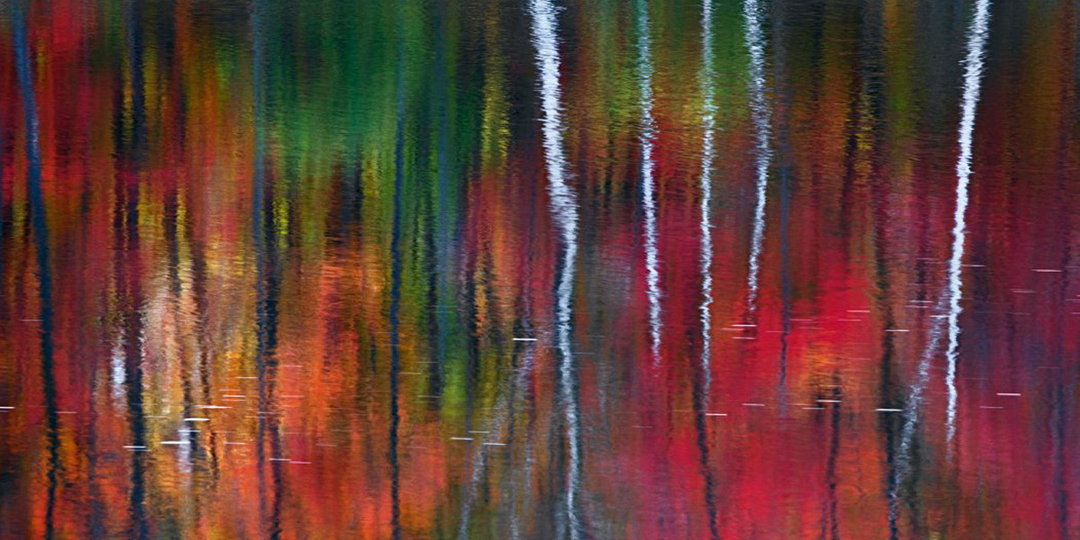 Фотография для внимательного взгляда: феномен Питера Лика | Подборка для вдохновения