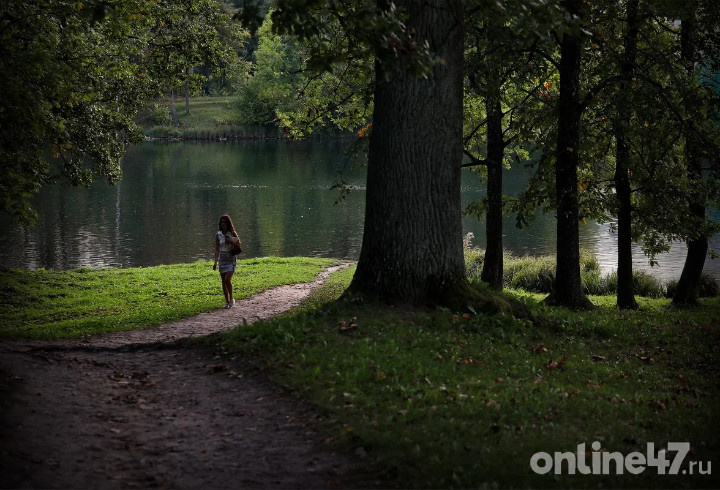 фото: Валентин Илюшин/Online47