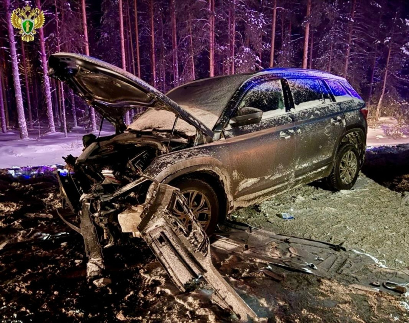    Прокуратура Карелии начала проверку по факту ДТП, где пострадали 9 человекПрокуратура Карелии