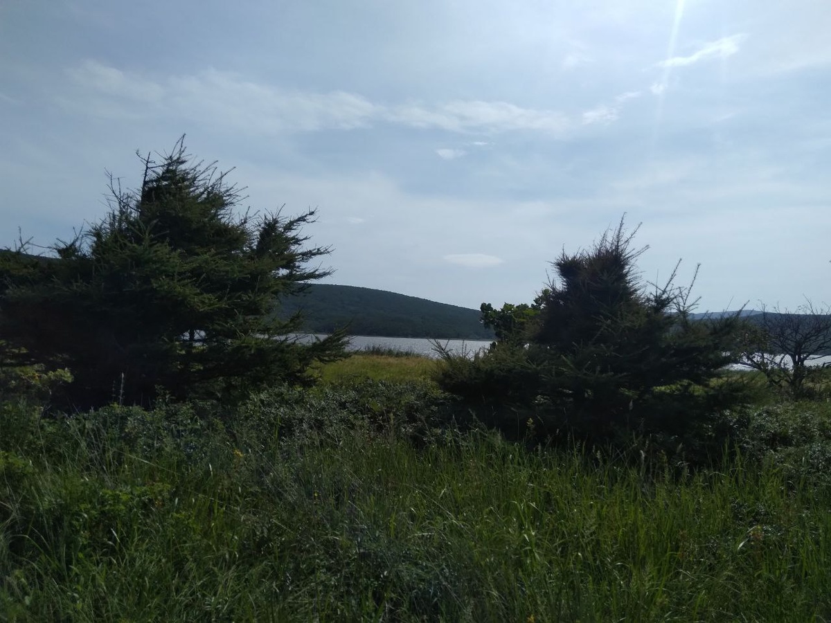 Сопки вдали