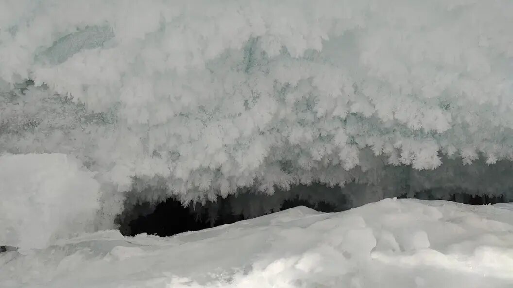    Фото: Царьград