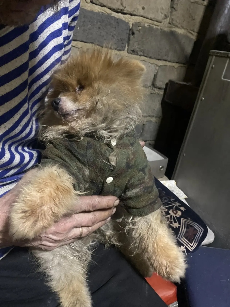 Малыши в жутком состоянии, без врачей они погибнут!