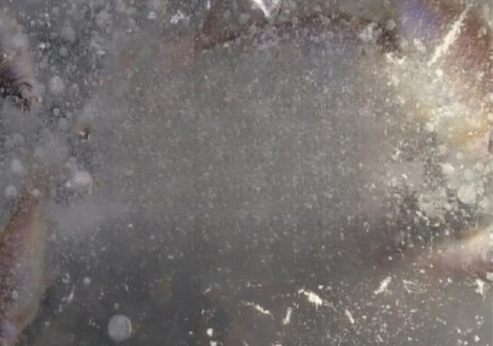    Фото :Минсельхозпрод Хакасии Остап Мусаев