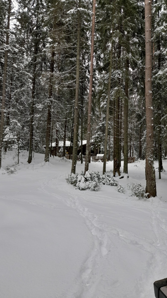 Домик Василисы