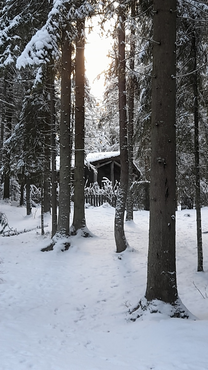 Домик Василисы