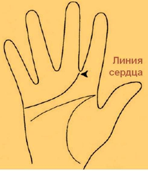 Линия сердца. https://www.google.com/url?sa=t&source=web&rct=j&url=https%3A%2F%2Fpsyera.ru%2F3978%2Fliniya-serdca&ved=0CBYQjRxqFwoTCICPu7WBg5IDFQAAAAAdAAAAABA_&opi=89978449