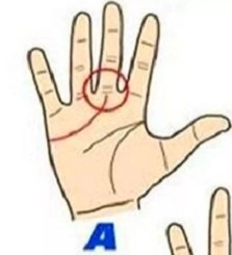 Короткая линия сердца. onedio.ru