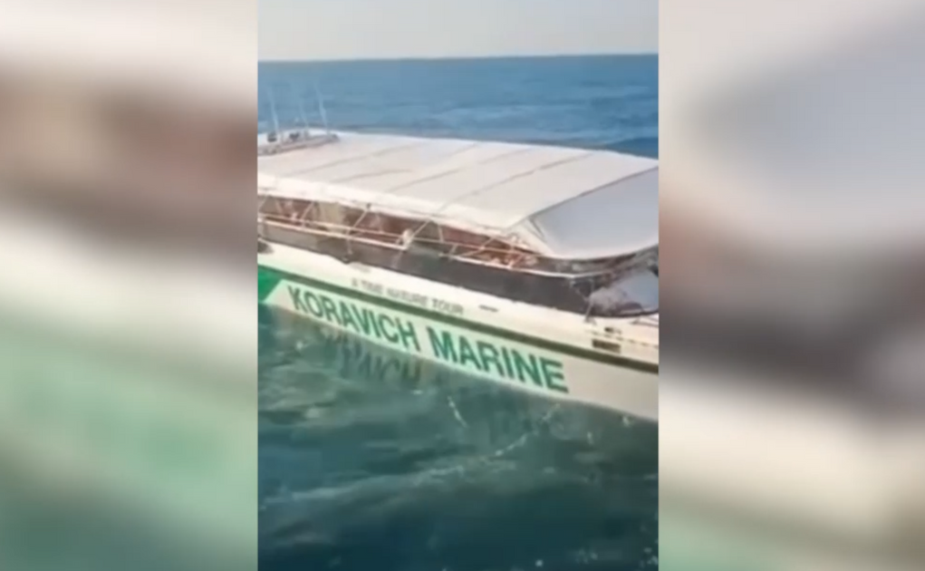 Вот этот катер.  фото: яндекс.