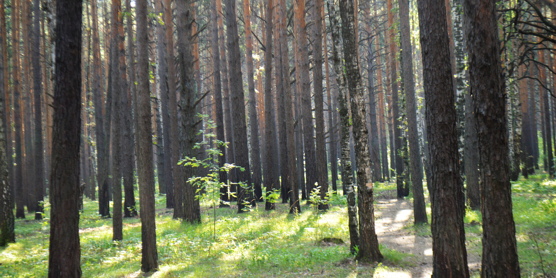 Бандероль для Таньки