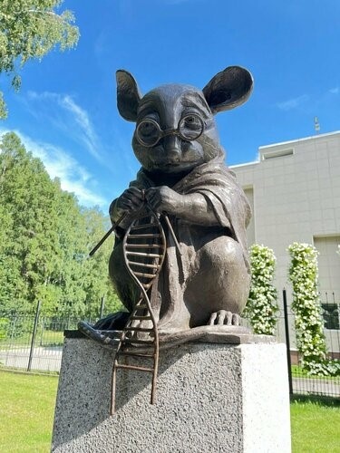Памятник лабораторной мыши, вяжущей нить ДНК. Установлен в благодарность от человечества подопытным мышам, с помощью которых подробно исследованы макромолекулы ДНК и РНК. 
Открыт: 1 июля 2013 года к 120-летию Новосибирска. Местоположение: Сквер около Института цитологии и генетики СО РАН, Академгородок, Новосибирск. Авторы: художник — Андрей Харкевич, скульптор — Алексей Агриколянский. Отлит: из бронзы в Томске мастером Максимом Петровым.
