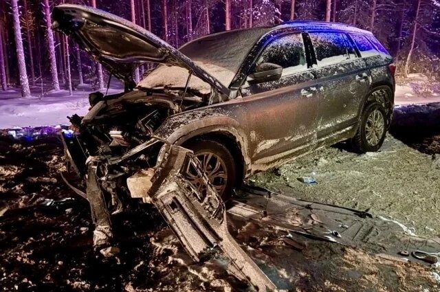    Пятеро детей пострадали в ДТП в Карелии в ночь на 11 января: что известно?