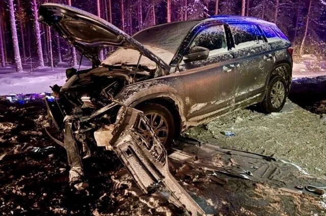    Фото: Прокуратура Карелии