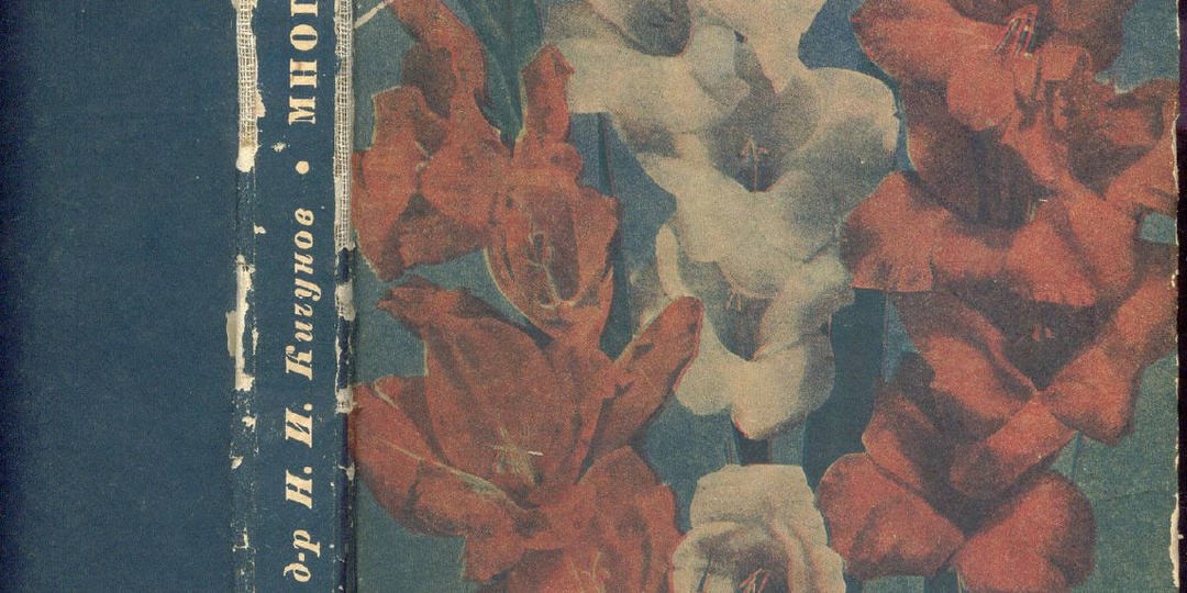 Книга ПРОФЕССОР КИЧУНОВ - МНОГОЛЕТНИКИ -1936 год , выдержки из книги про пионы