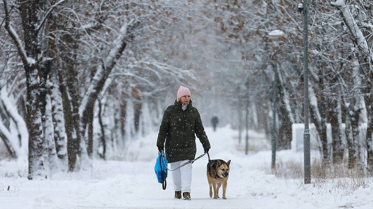    Фото: Сергей Ведяшкин / АГН Москва