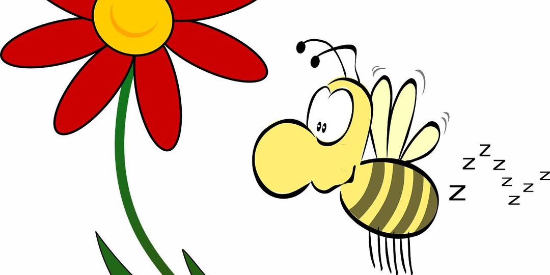 Про самую главную ошибку новичка. Из-за которой теряются семьи