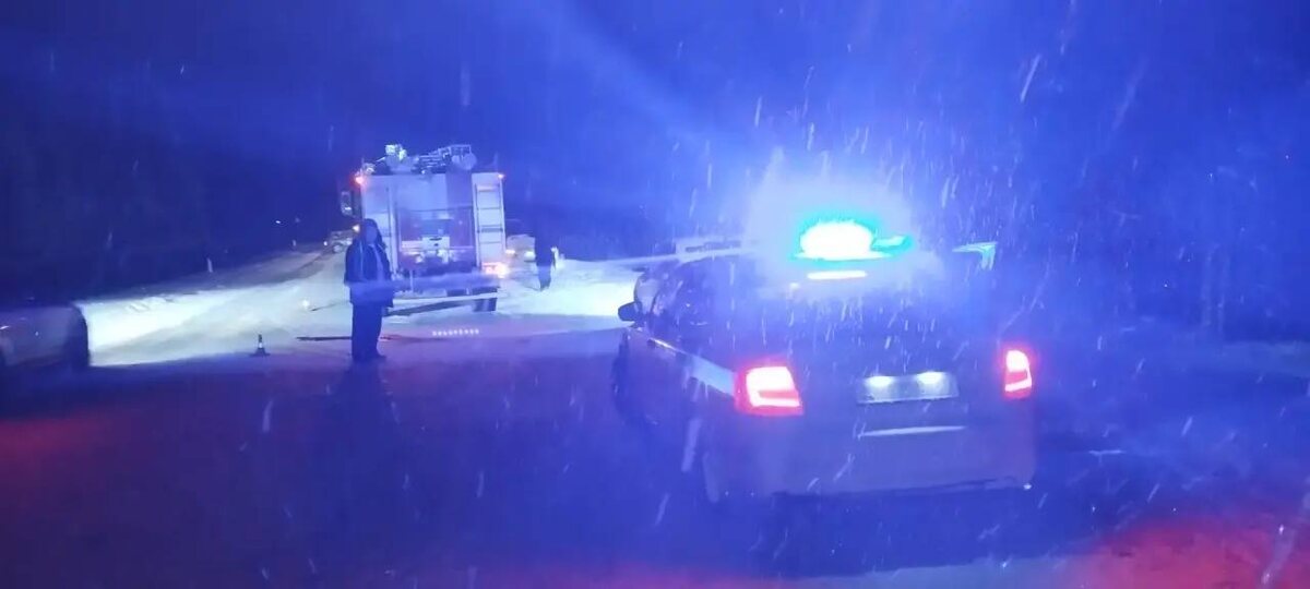    Фото: Госкомитет Карелии по безопасности / Telegram